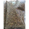 Factory wholesale black soldier fly protein oil extraction fish feed pellet black soldier fly